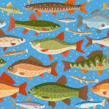 Seamless freshwater fish pattern. A vector seafood Stock Illustration