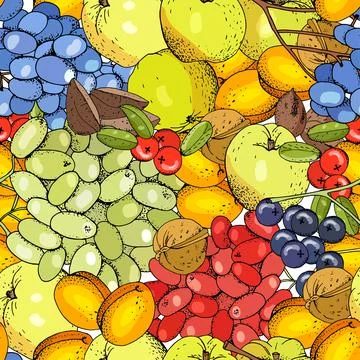 Seamless fruit background with apricots, apples, grapes and nuts. Stock Illustration