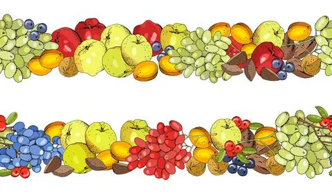 Seamless fruit pattern with apricots, apples, grapes and nuts. Stock Illustration