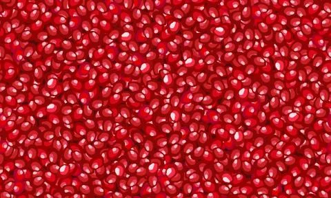 Seamless fruit pomegranate seeds pattern, Fresh organic food, Red ruby fruits 库存插图
