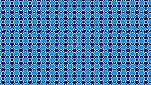 Seamless geometric pattern background: Abstract blue and white repeating ti.. Stock Footage 342116202