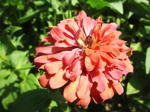 Seamless geometric pattern illustration Foto stock