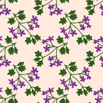 Seamless geranium pattern Stock Illustration