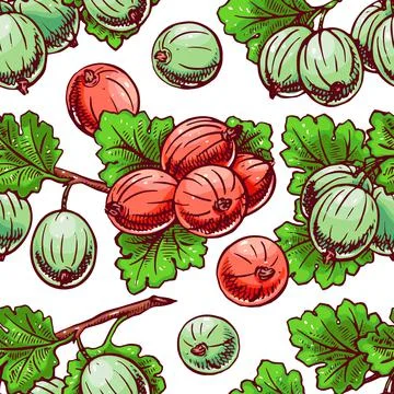 Seamless gooseberry 스톡 일러스트
