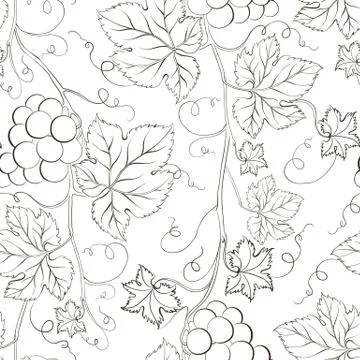 Seamless grape pattern black and white. Stock Illustration
