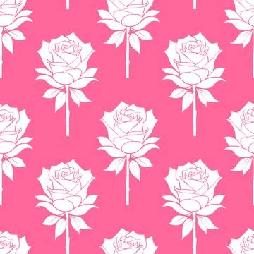 Seamless graphic floral pattern white roses on pink background, texture, desi Illustrazione stock