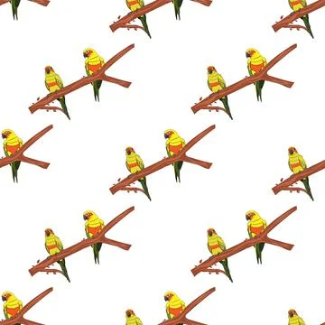 Seamless graphics drawing Sun Conure Parrots on a branch of the tree Illustrazione stock