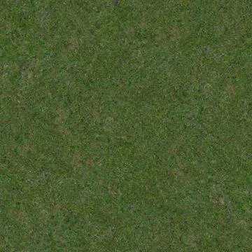 Seamless grass texture Stock Photos