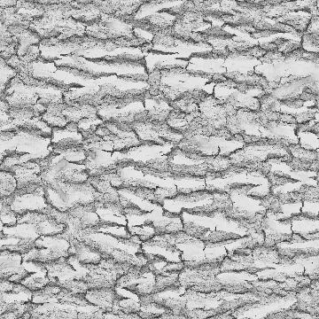 Seamless grayscale mask map of rough tree bark deeply cracked timber surface Stock Illustration