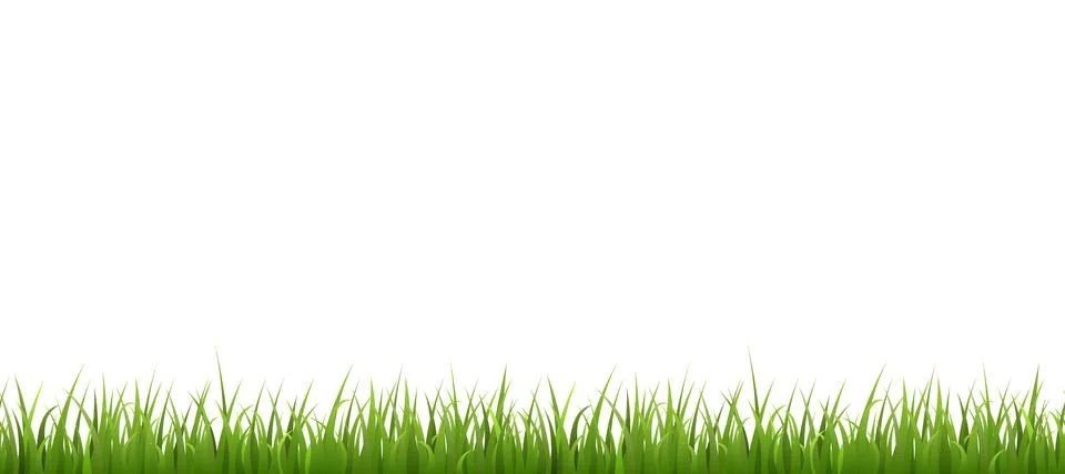 Seamless green grass border flat style, vector illustration Stock Illustration