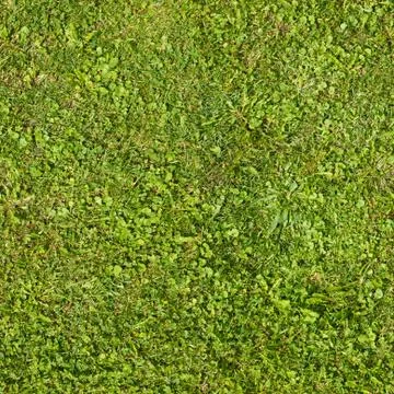 Seamless green grass texture Stock Photos