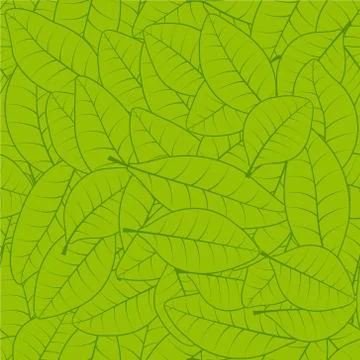 Seamless green leaf pattern background vector seamless pattern of fresh green Illustrazione stock