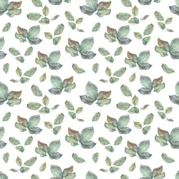 Seamless green leaf pattern. Hand drawn elegant leaves on white background Stock Illustration