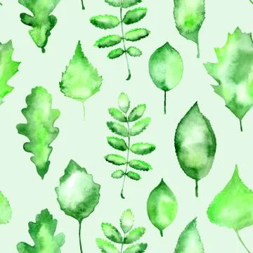 Seamless green leaves pattern Stock Photos
