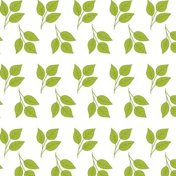 Seamless green leaves pattern. Simple flat botanical design with repeating .. Stock Illustration