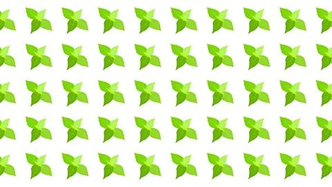 Seamless Green Mint Leaves Pattern on White Background for Textile and Wall.. Illustrazione stock