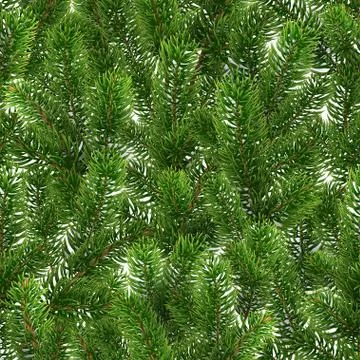 Seamless green pattern. Christmas tree branches Stock Illustration