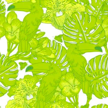 Seamless green pattern with flowers and Toucan Stock Illustration