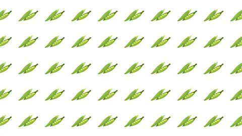 Seamless Green Pea Pod Pattern Illustration on White Background for Textile.. Stock Illustration