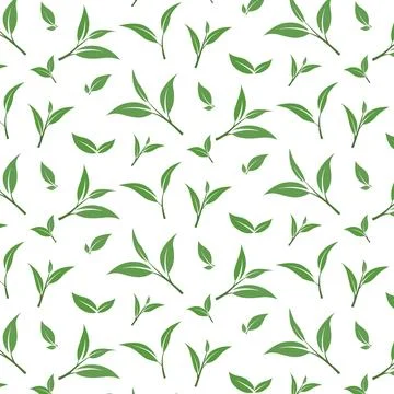 Seamless Green Tea Leaves Pattern in Flat Vector Style Stock Illustration