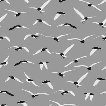 Seamless of gull on grey background. Stock Illustration