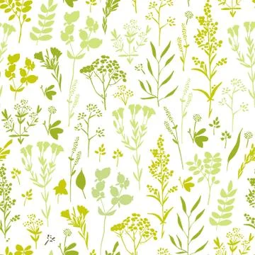 Seamless hand-drawn floral pattern with herbs Stock Illustration