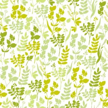 Seamless hand-drawn floral pattern with herbs Stock Illustration