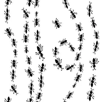Seamless hand drawn pattern with ants. Stock Illustration