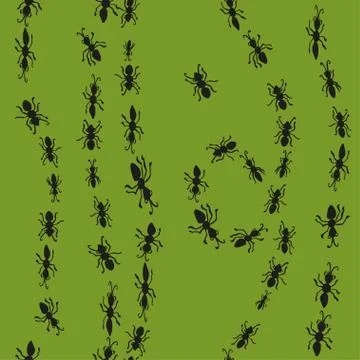 Seamless hand drawn pattern with ants. Stock Illustration
