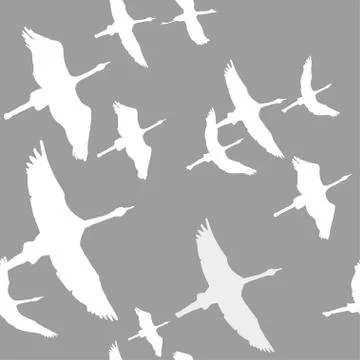 Seamless hand drawn pattern with birds. Stock Illustration