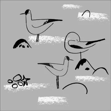 Seamless hand drawn pattern with birds. Stock Illustration