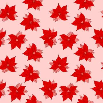 Seamless hand drawn pattern with pink red poinsettia Christmas star flowers Stock Illustration