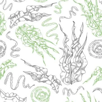 Seamless hand drawn pattern with spirulina, sketch vector illustration on white. Illustrazione stock