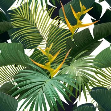 Seamless hand drawn tropical vector pattern with bird of paradise flowers and Stock-Illustration