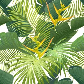 Seamless hand drawn tropical vector pattern with bird of paradise flowers and 스톡 일러스트