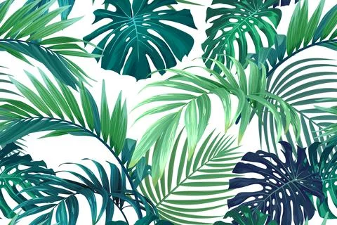 Seamless hand drawn tropical vector pattern with monstera palm leaves. Stock Illustration