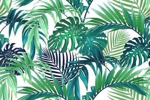 Seamless hand drawn tropical vector pattern with monstera palm leaves. Stock Illustration