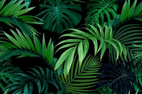 Seamless hand drawn tropical vector pattern with monstera palm leaves on dark Stock Illustration