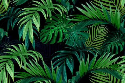 Seamless hand drawn tropical vector pattern with monstera palm leaves on dark Illustrazione stock