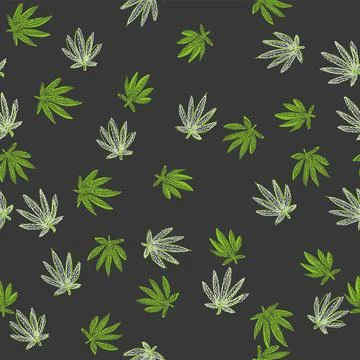 Seamless hemp leaves pattern. Green leaves on black background. Stock-Illustration