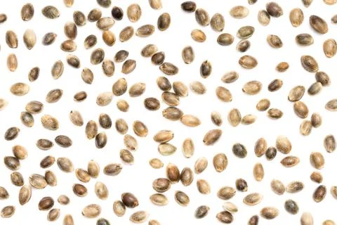 Seamless hemp seed background Foto stock