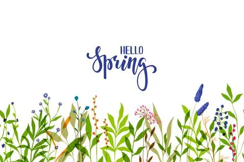 Seamless horizontal border, abstract art with summer meadow plants, wild flow Stock Illustration