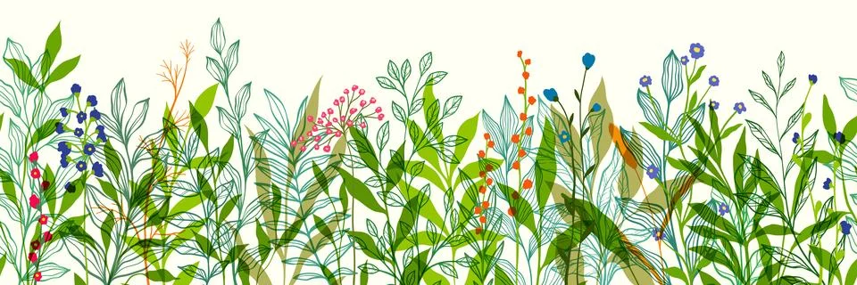 Seamless horizontal border, abstract art with summer meadow plants, wild flow Stock Illustration