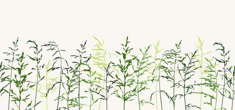 Seamless horizontal border with green thin silhouettes of dry wild herbs Stock Illustration