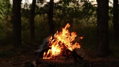 Seamless Horizontal Campfire Loop with Bright Flames in Dark Forest Woods Stock Footage 344031137