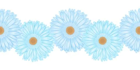 Seamless horizontal frame element of gerbera flower Stock Illustration