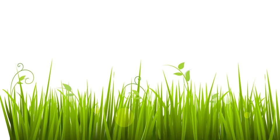 Seamless horizontal green grass borders isolated on white background, perfect Stock Illustration