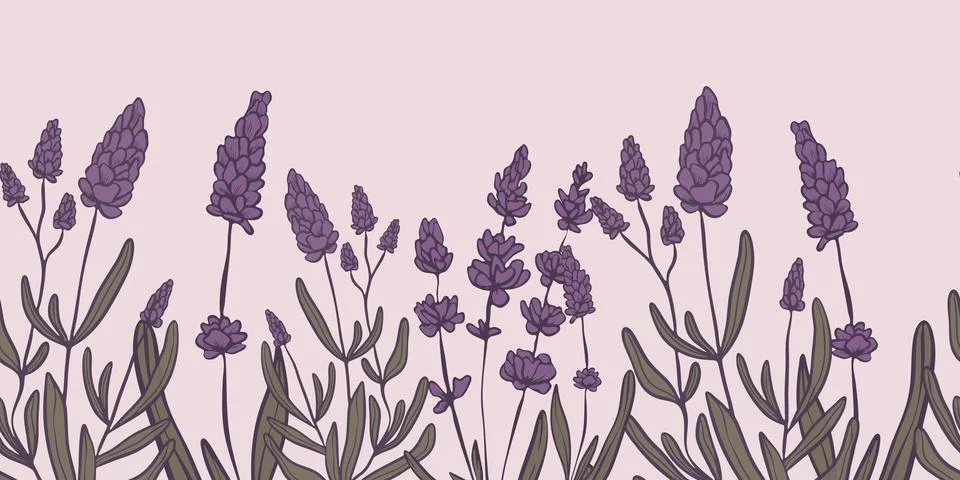 Seamless horizontal pattern with drawn flowers of lavender. イラスト素材