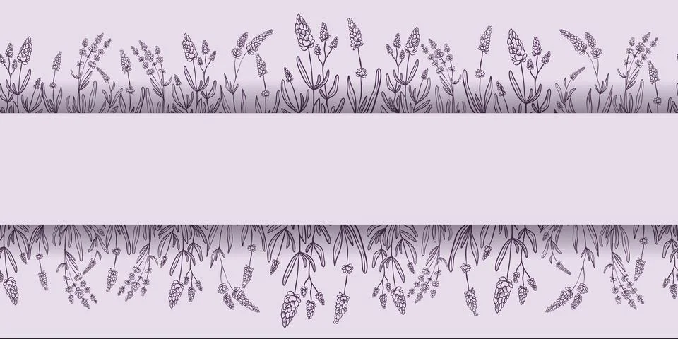 Seamless horizontal pattern with drawn flowers of lavender. Stock Illustration