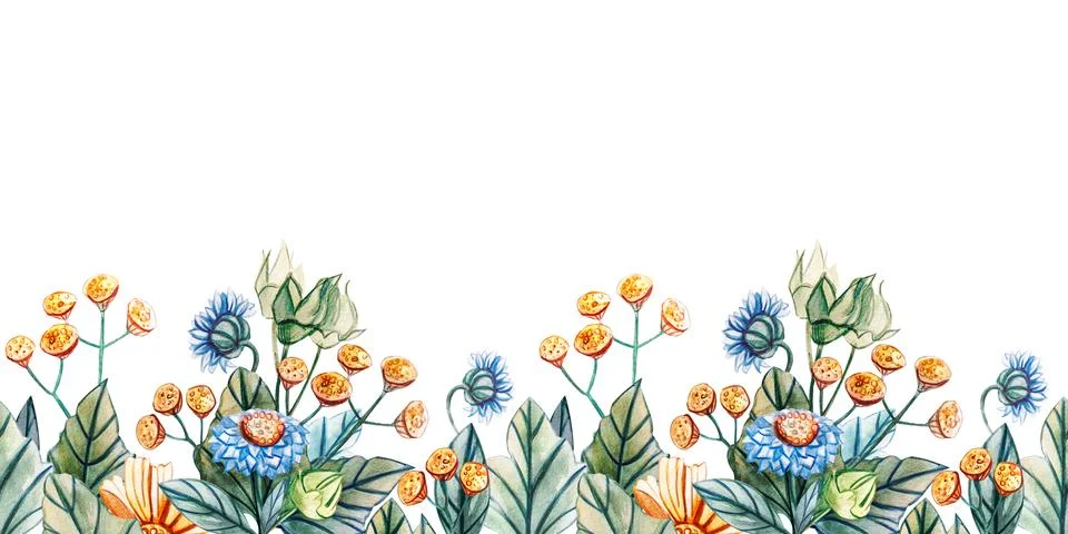 Seamless horizontal pattern of wildflowers. Stock Illustration